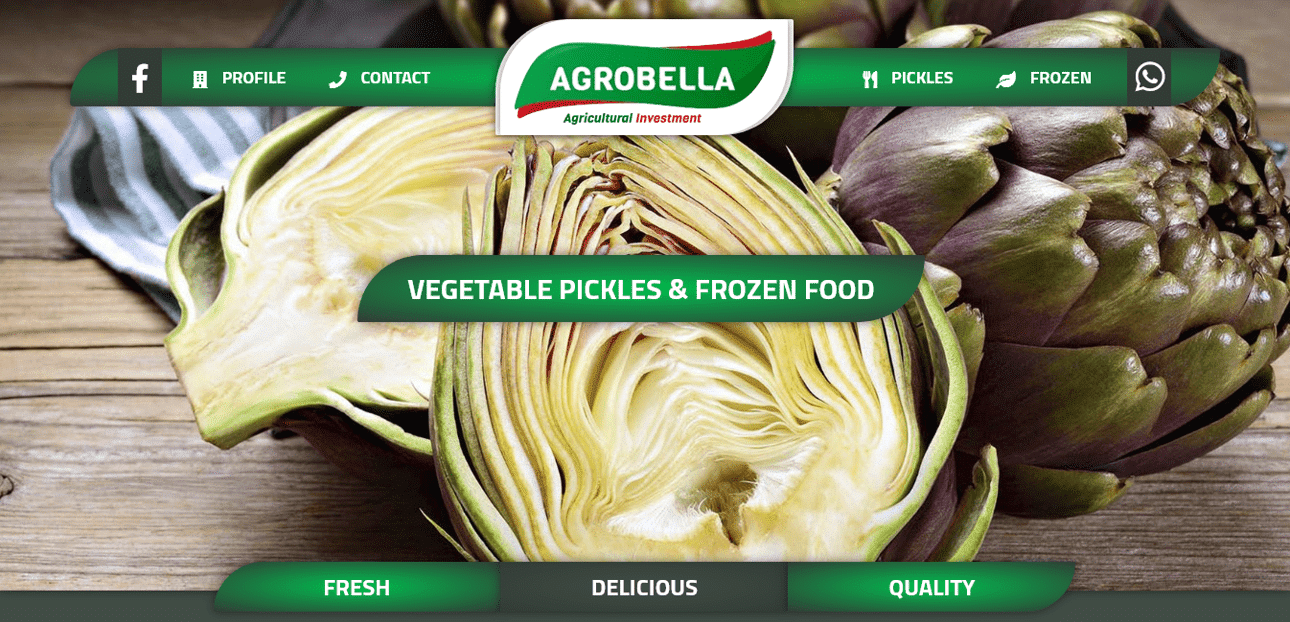 تصميم موقع مخللات Pickles 🌶 تصميم موقع أغذية مجمدة Frozen Food 🥦 تصميم موقع  خرشوف Artichokes ☘️