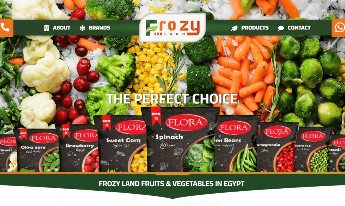 تصميم موقع أغذية مجمدة Frozen Food Web Design 🍓 تصميم موقع تصدير خضروات وفاكهة مجمدة فى مصر 🥕